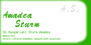 amadea sturm business card